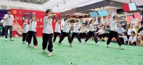 八极拳表演视频,力与美的完美融合